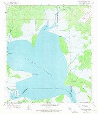 Lac Des Allemands 1962 topographic map thumbnail