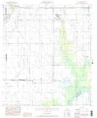 Lacassine 1985 topographic map thumbnail