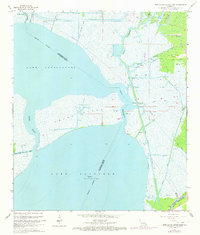Lake Cataouatche East 1966 topographic map thumbnail