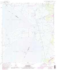 Lake Cataouatche East 1966 topographic map thumbnail