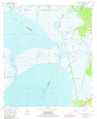 Lake Cataouatche East 1966 topographic map thumbnail