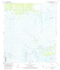 Lake Cataouatche West 1967 topographic map thumbnail