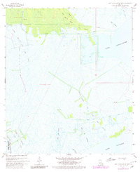 Lake Cataouatche West 1967 topographic map thumbnail