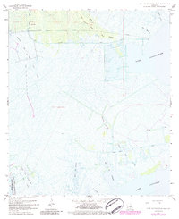 Lake Cataouatche West 1967 topographic map thumbnail