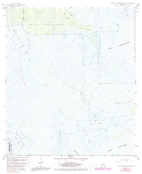 Lake Cataouatche West 1967 topographic map thumbnail