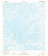 Lake Mechant 1964 topographic map thumbnail