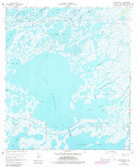 Lake Mechant 1964 topographic map thumbnail