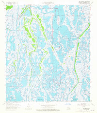 Lake Quitman 1964 topographic map thumbnail