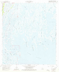 Lake Tambour 1964 topographic map thumbnail
