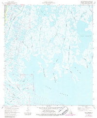 Lake Tambour 1964 topographic map thumbnail
