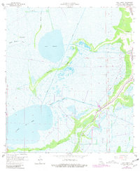 Lake Theriot 1964 topographic map thumbnail