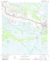 Larose 1963 topographic map thumbnail