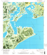 Latania Lake 1980 topographic map thumbnail