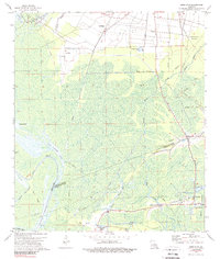 Lone Star 1974 topographic map thumbnail