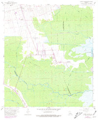 Lower Vacherie 1962 topographic map thumbnail