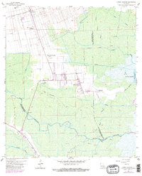 Lower Vacherie 1962 topographic map thumbnail