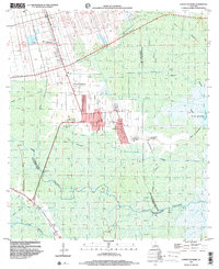 Lower Vacherie 1998 topographic map thumbnail