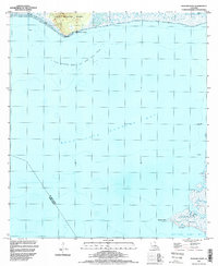 Marone Point 1994 topographic map thumbnail