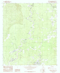 Merryville North 1984 topographic map thumbnail