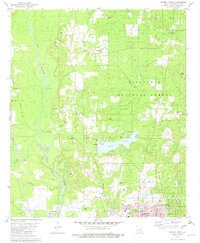 Minden North 1981 topographic map thumbnail