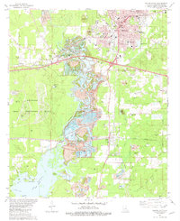 Minden South 1981 topographic map thumbnail