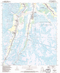 Montegut 1994 topographic map thumbnail