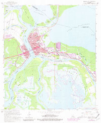 Morgan City 1966 topographic map thumbnail