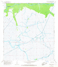 Morgan City SE 1966 topographic map thumbnail