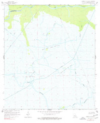 Morgan City SE 1966 topographic map thumbnail