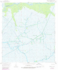 Morgan City SE 1966 topographic map thumbnail