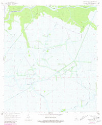 Morgan City SE 1966 topographic map thumbnail