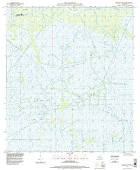 Morgan City SE 1994 topographic map thumbnail