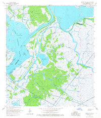 Morgan City SW 1966 topographic map thumbnail