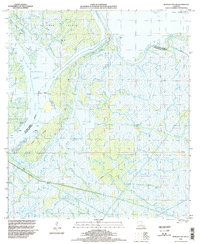 Morgan City SW 1994 topographic map thumbnail