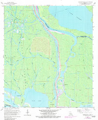 Napoleonville SW 1966 topographic map thumbnail