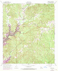 Negreet 1954 topographic map thumbnail
