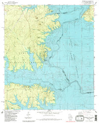 Negreet SW topographic map thumbnail