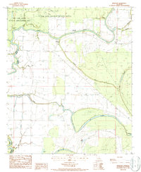 NewLight 1987 topographic map thumbnail