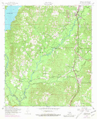 Newllano 1954 topographic map thumbnail