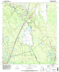 Nicholson 1993 topographic map thumbnail