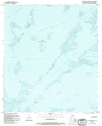 Oak Mound Bayou 1994 topographic map thumbnail