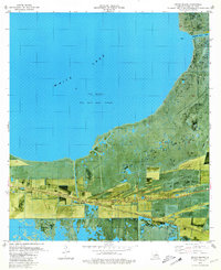 Pecan Island 1979 topographic map thumbnail
