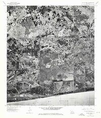 Peveto Beach 1975 topographic map thumbnail