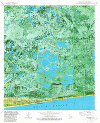 Peveto Beach 1982 topographic map thumbnail