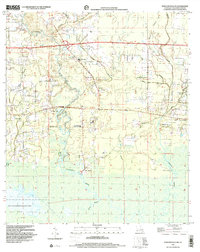Ponchatoula NE 1998 topographic map thumbnail