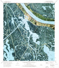 Port Sulphur 1973 topographic map thumbnail