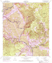 Salter Creek 1954 topographic map thumbnail