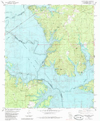 Salter Creek 1985 topographic map thumbnail