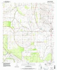 Saranac 1994 topographic map thumbnail