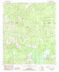 Savage Creek 1985 topographic map thumbnail